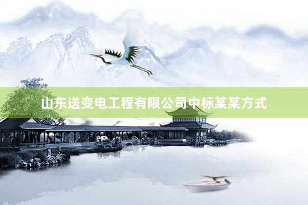山东送变电工程有限公司中标某某方式